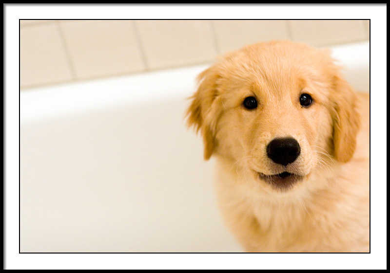 playing in tub 2