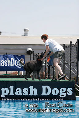 August 6th 2006 Splash Dogs event at Mel Cotton's, San Jose, CA