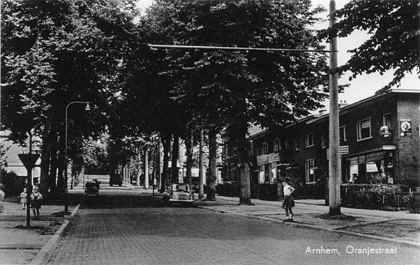 Our brick paved street with its shady linden trees