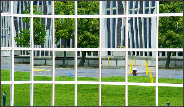Window Collage