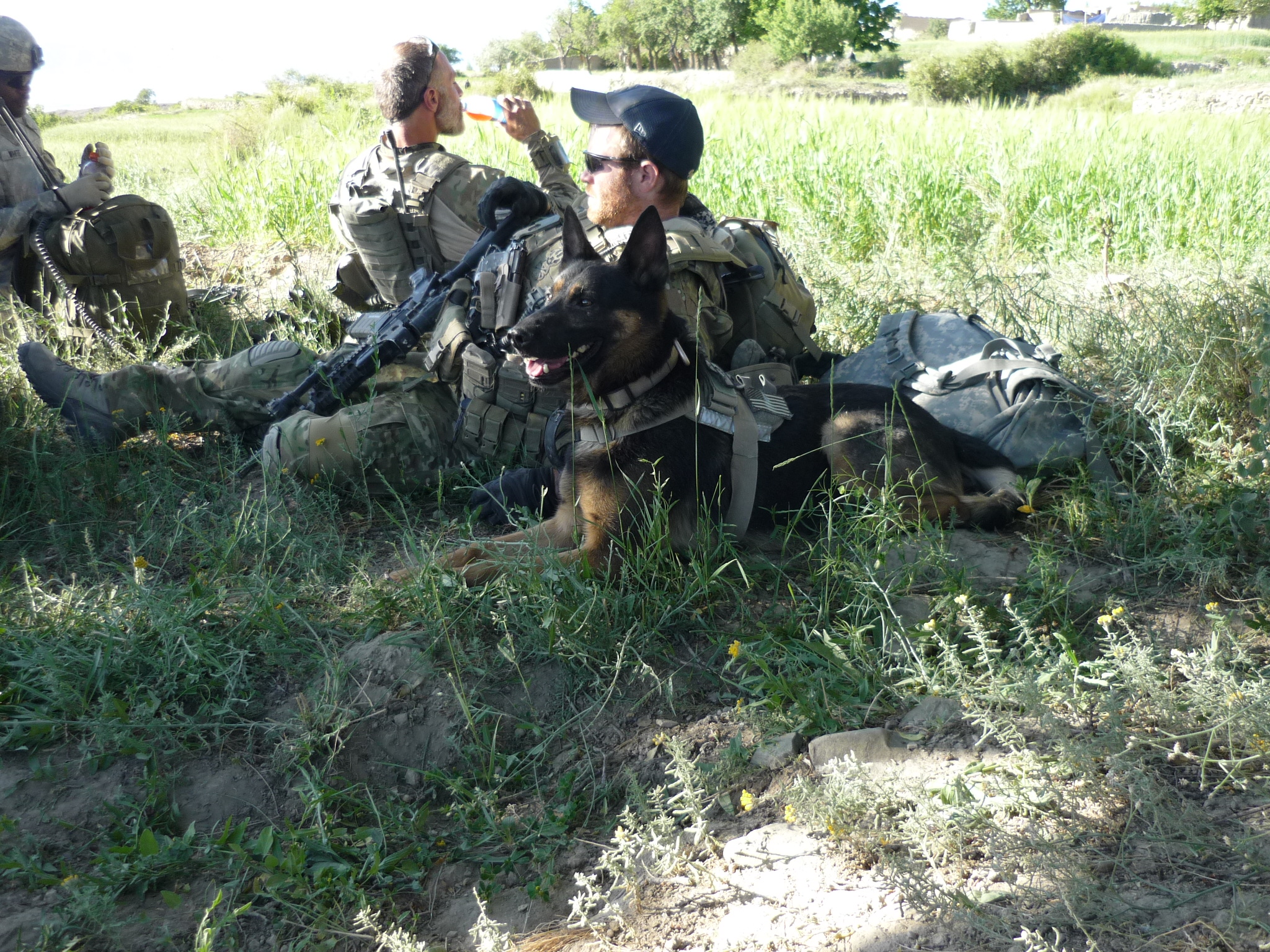 great K-9 Team