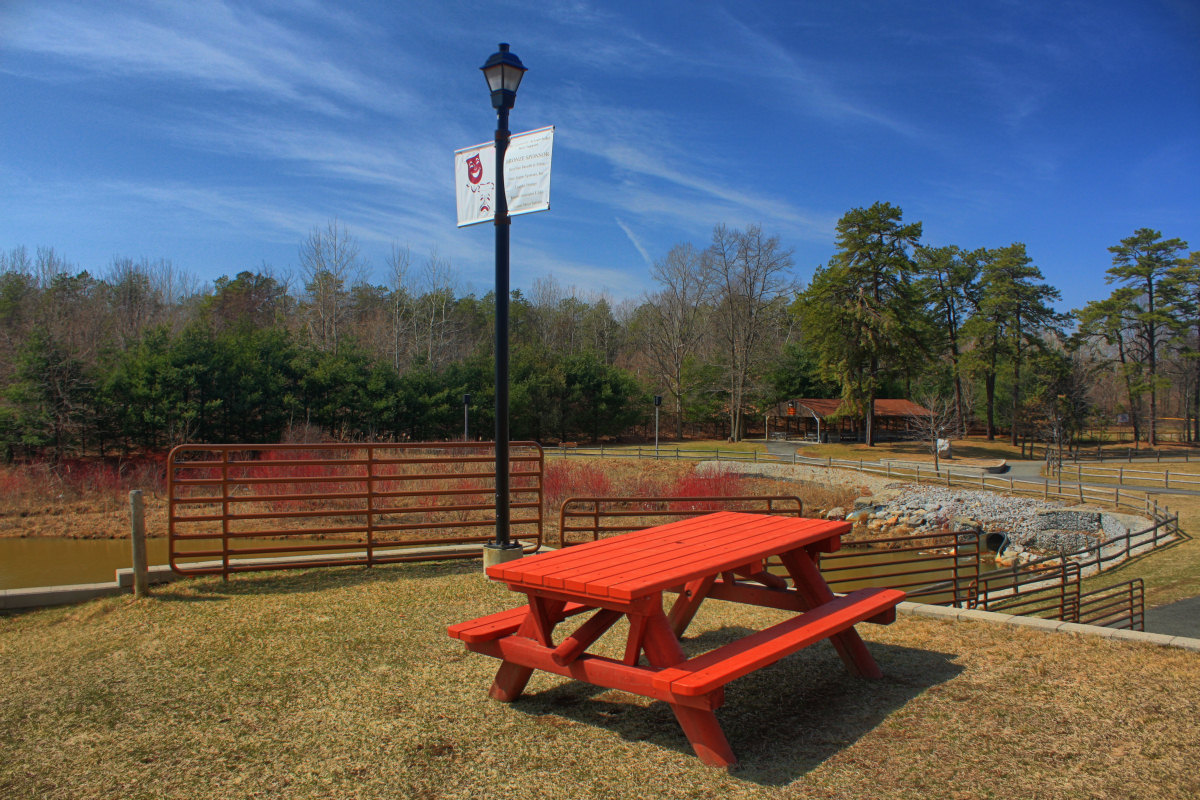 Picnic Table In HDR
