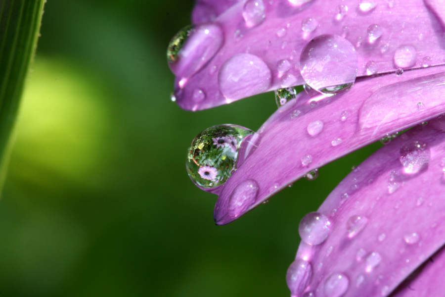 May 26, 2006<BR>Water Drop