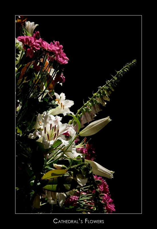 09.09.2008