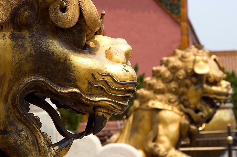 Golden Lions