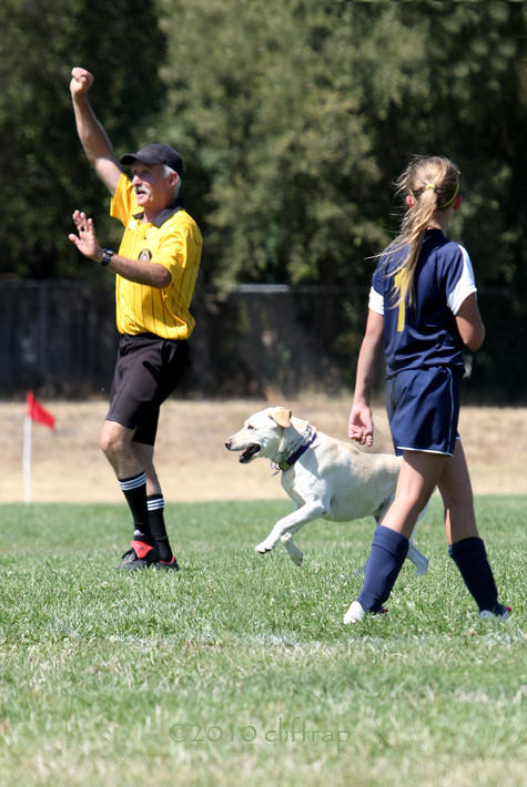 Stop! interference!