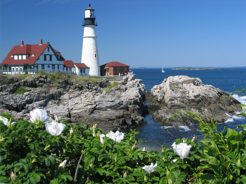 Springtime at Portland Head