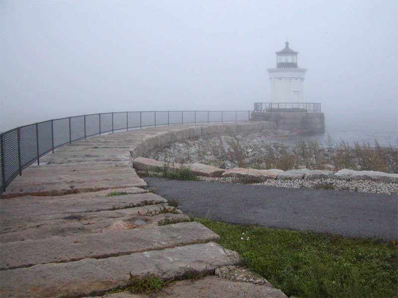 Bug Light in Fog