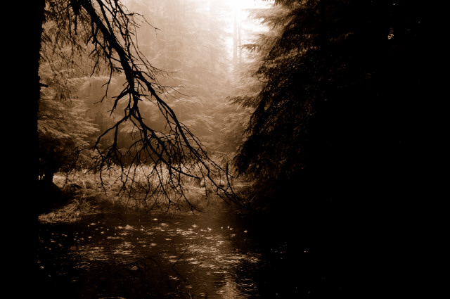 Orcas Island 2005