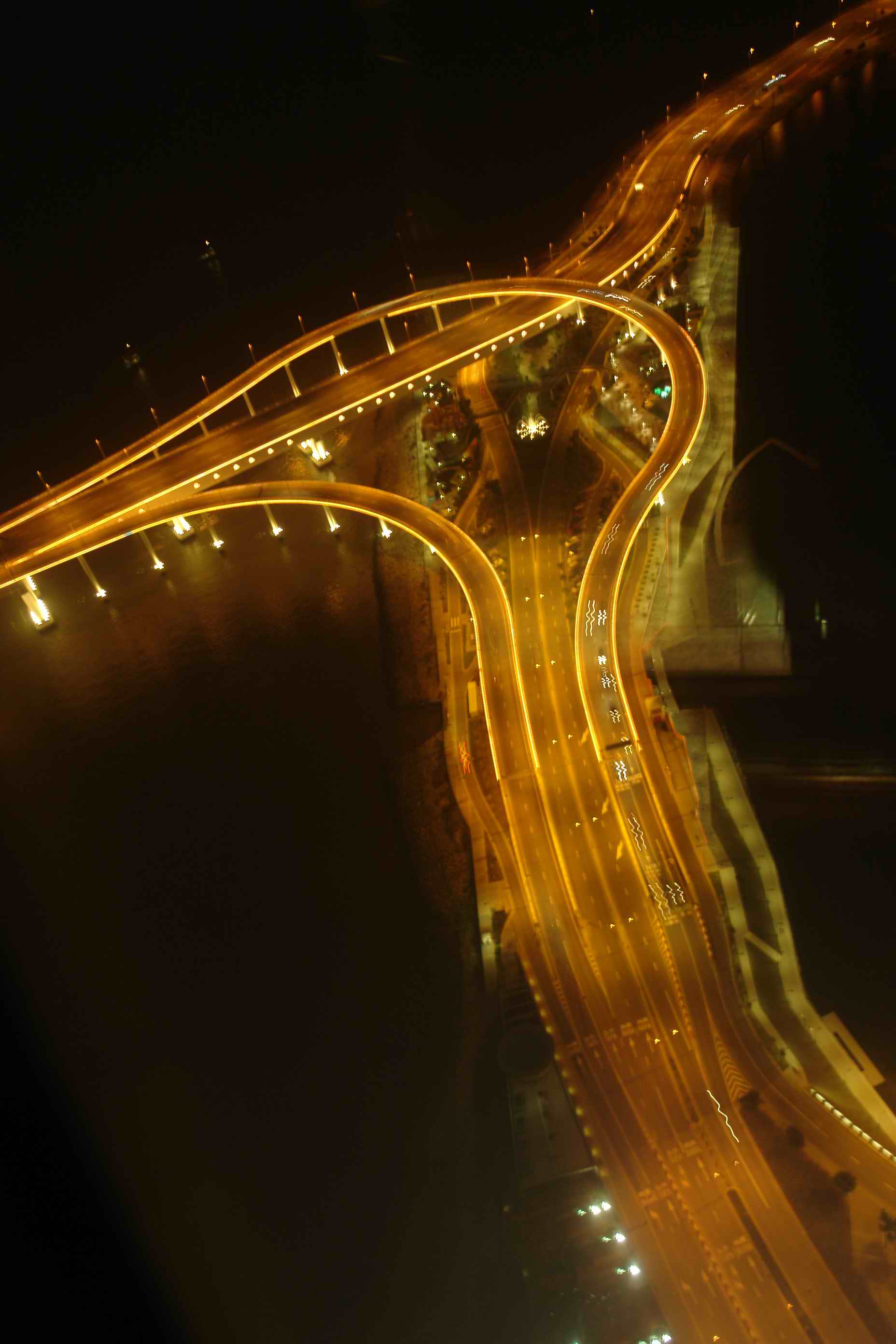 View from Macau Tower at night