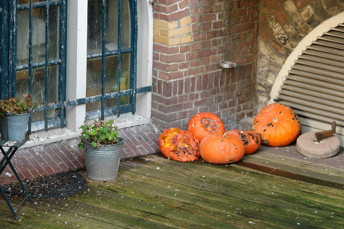 Decaying pumpkins