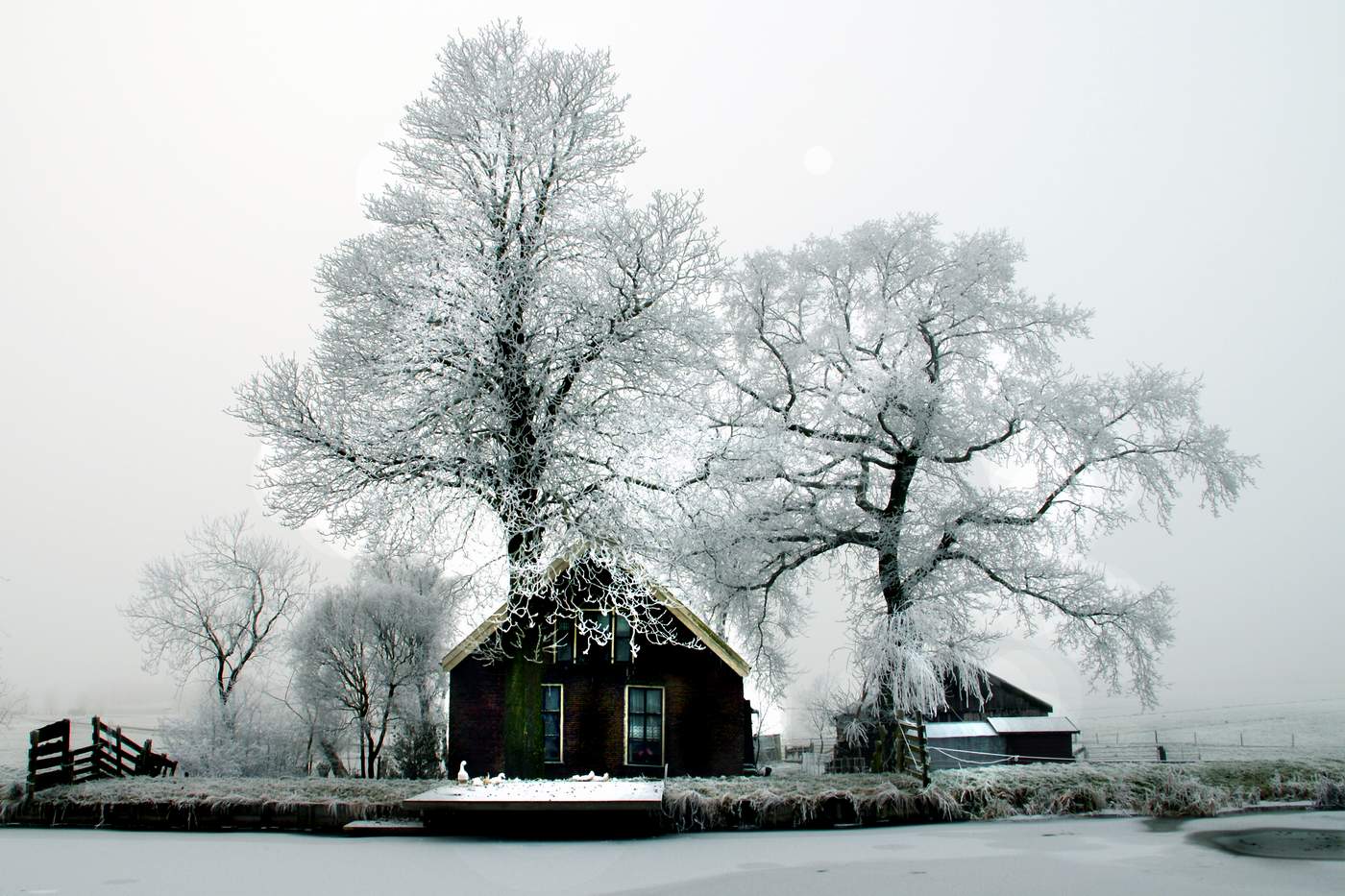 Icecold