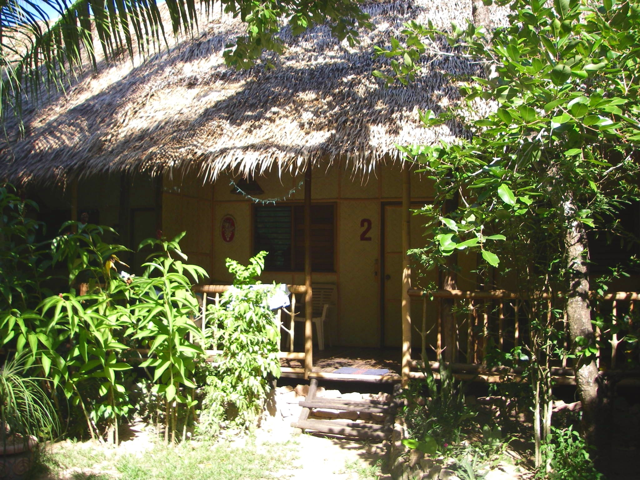 Kokosnuss Garden