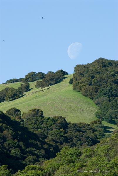 Moonset