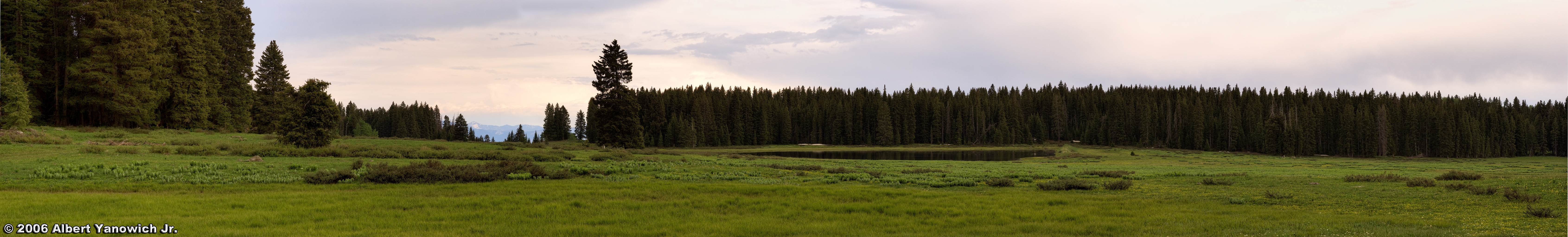 Grand Mesa Spring