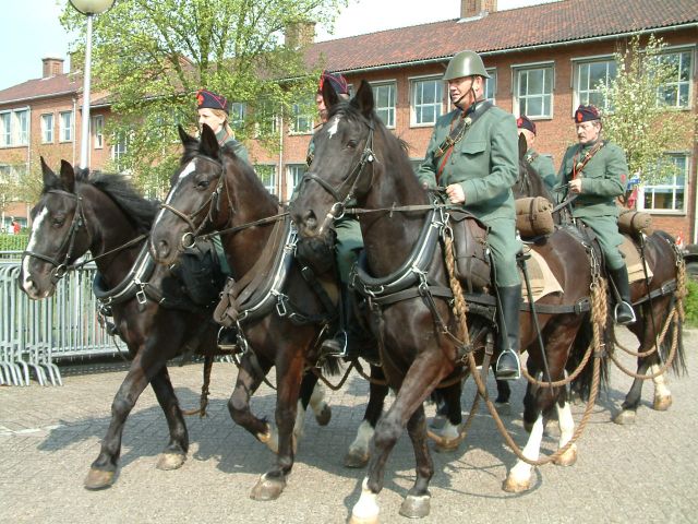 DSCF0193.JPG