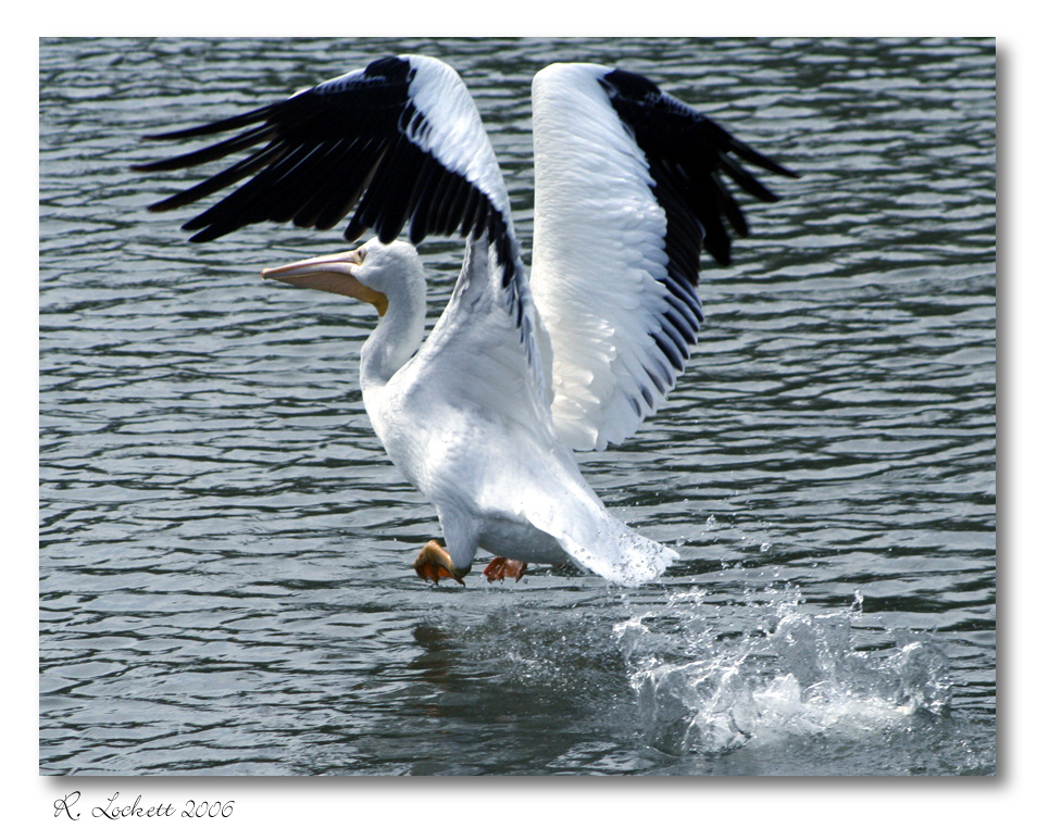 initial takeoff