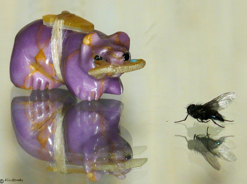 Offering for the Minibeast