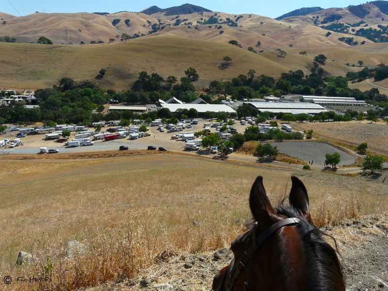 Save Mt. Diablo Trail Endurance Ride Camp