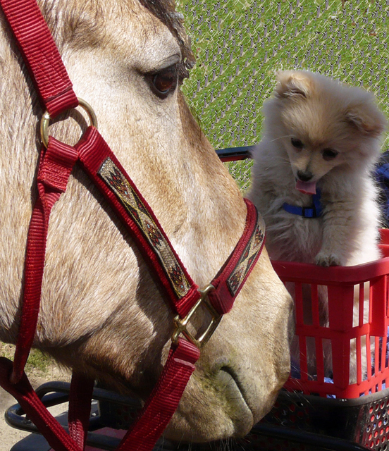  Love Comes in All Sizes
