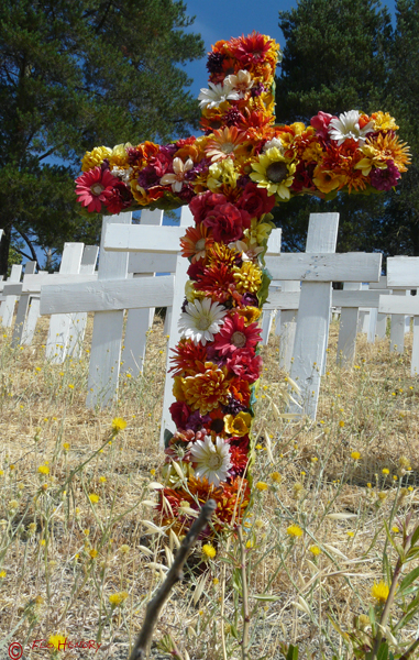 Flower Cross