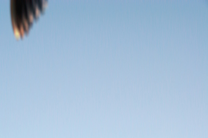 Flight