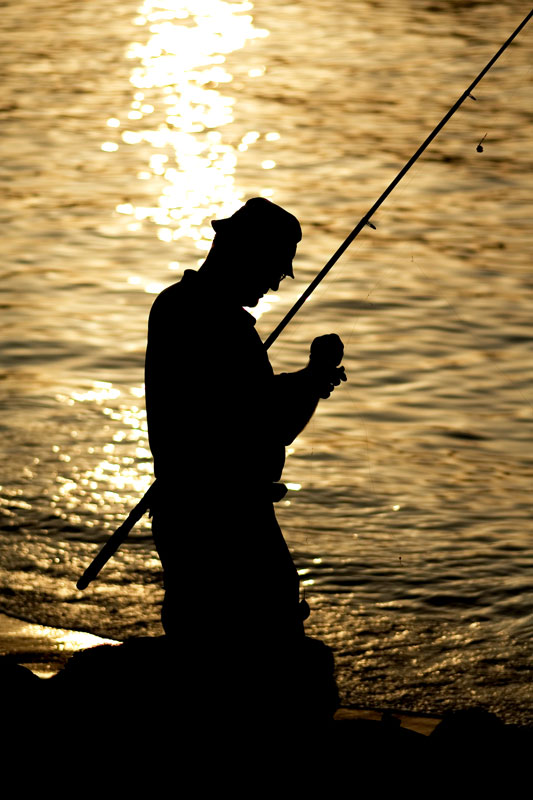 Fisherman