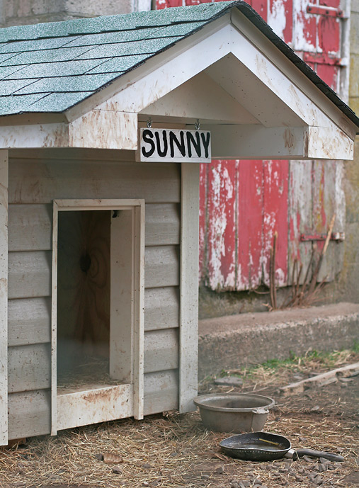 In the doghouse