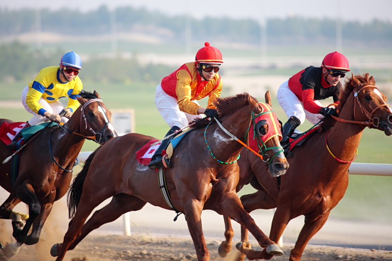At the races