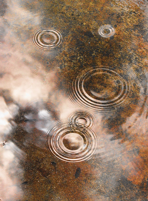 #2 Connecticuts  A Puddle