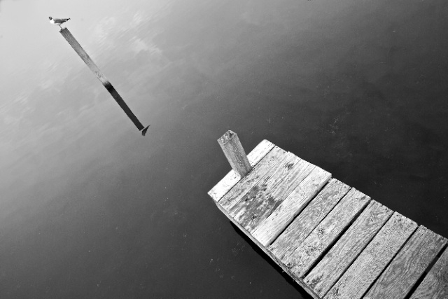 Solitude