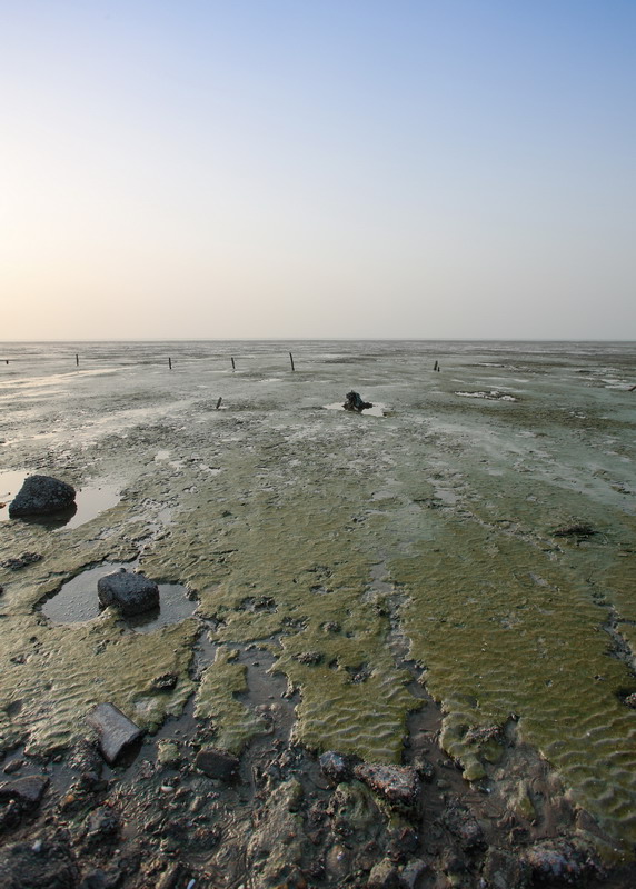 Low Tide