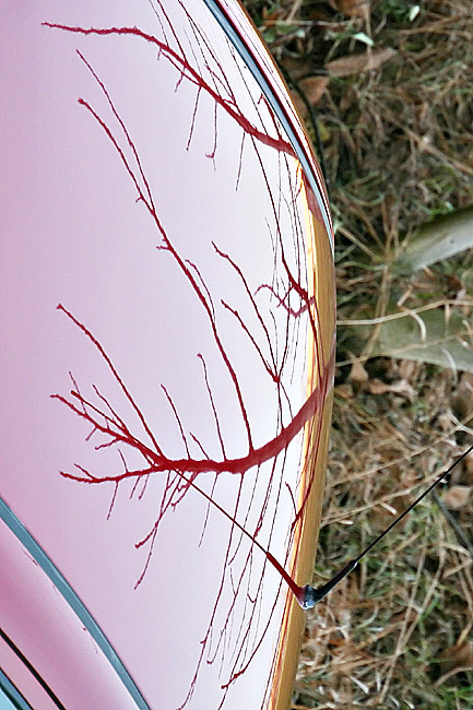 arteries