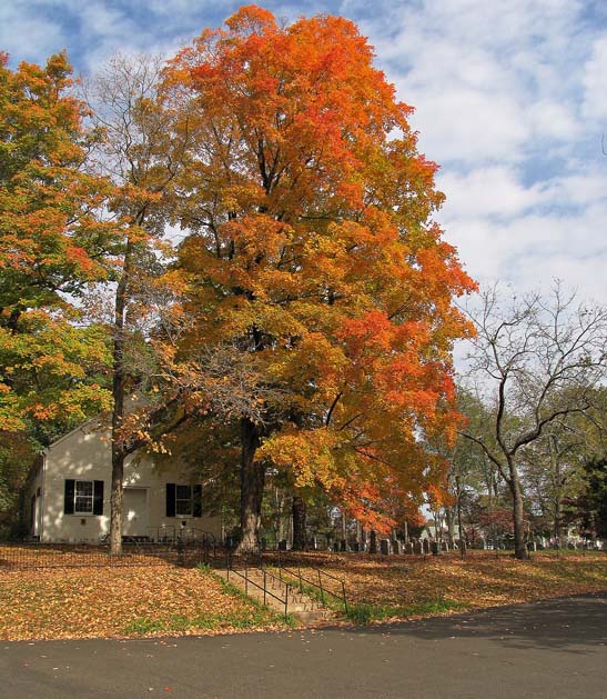 Fall colors  *