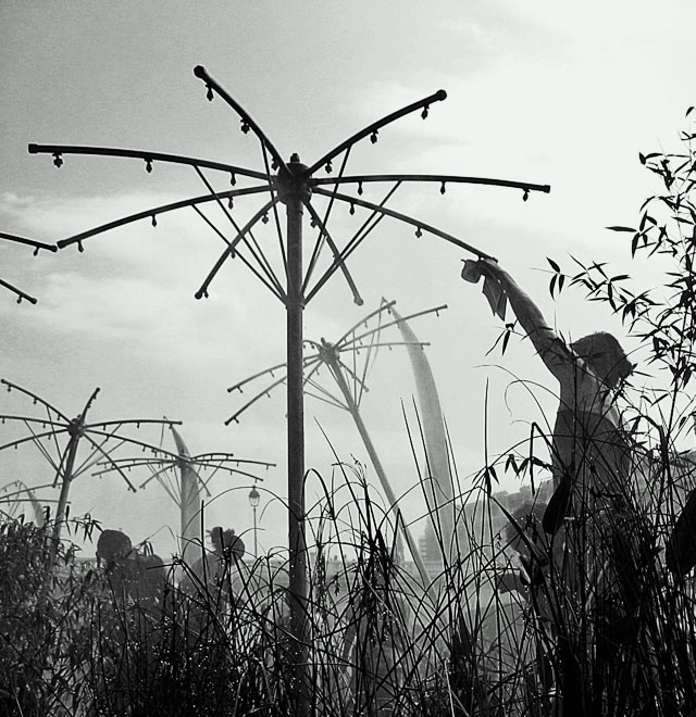 Extending poles, arms, and branches*