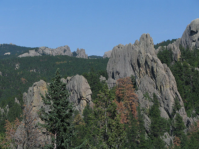 Trees and Rocks *