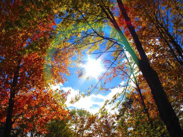 A Fall Day *