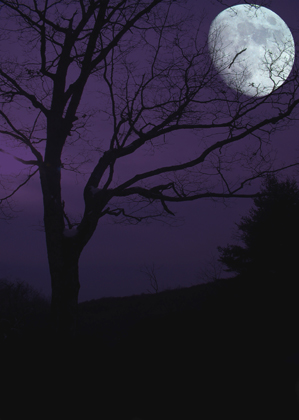 Halloween Night *