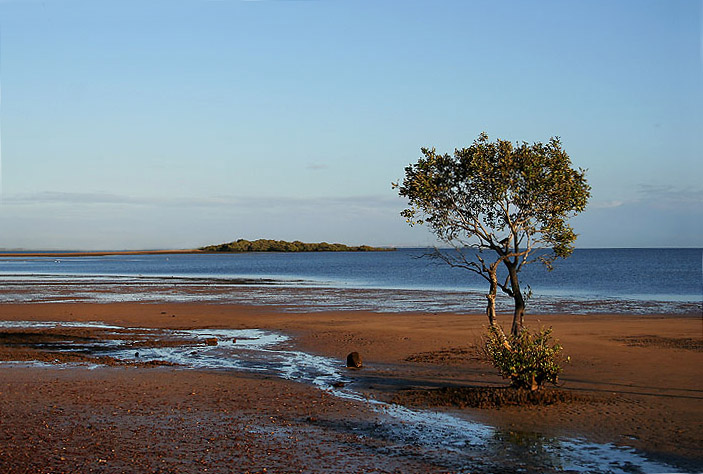 Low Tide *