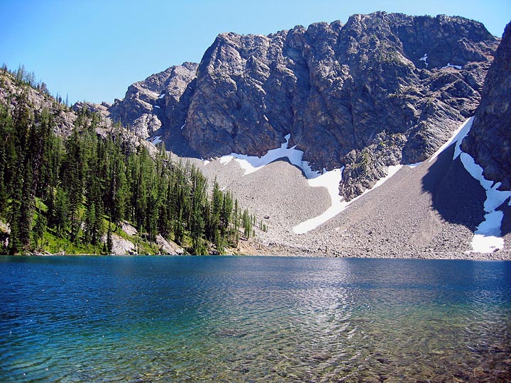 High Mountain Trees