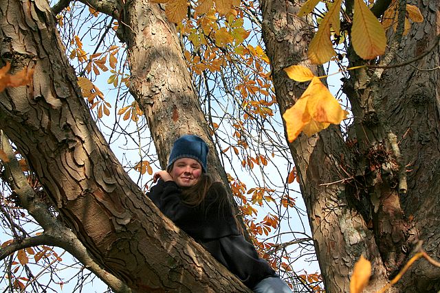 Climbing to New Heights*