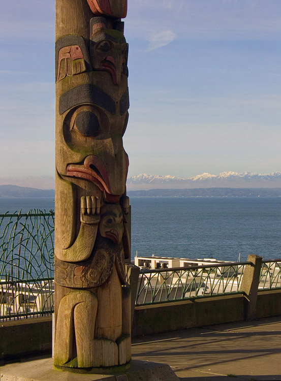 Northwest Native Tree*