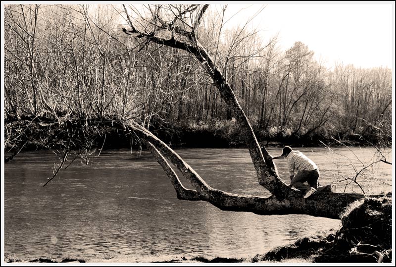 * Found Lees Tree!