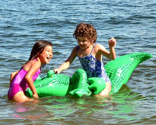 Gator Ride *