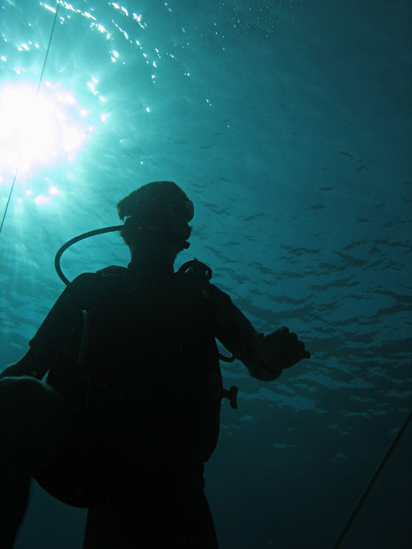 Silhouette in the blue*