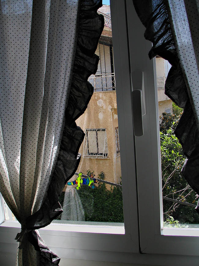 Window Through the Window *