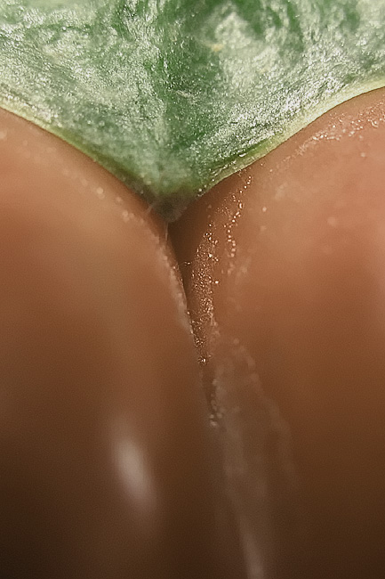 <b>* imagine, that this is a red pepper only</b>