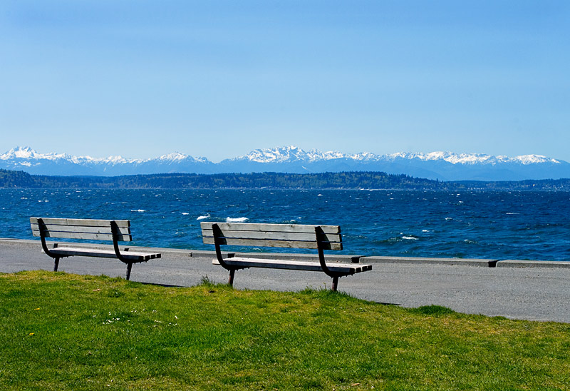 View Benches*