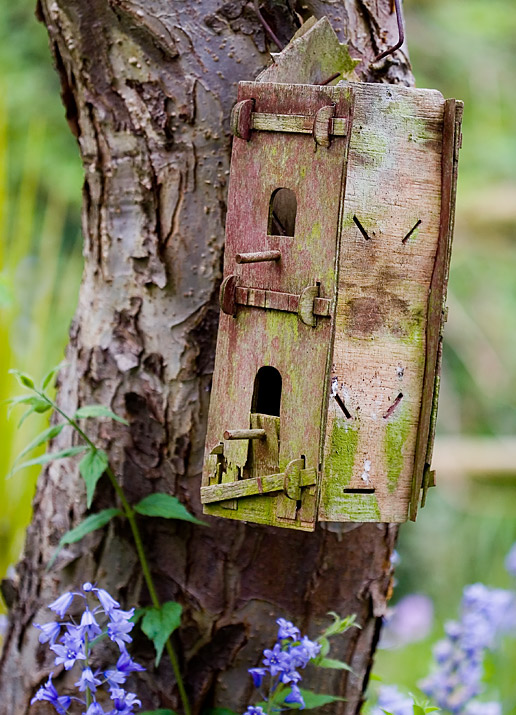 Treehouse*
