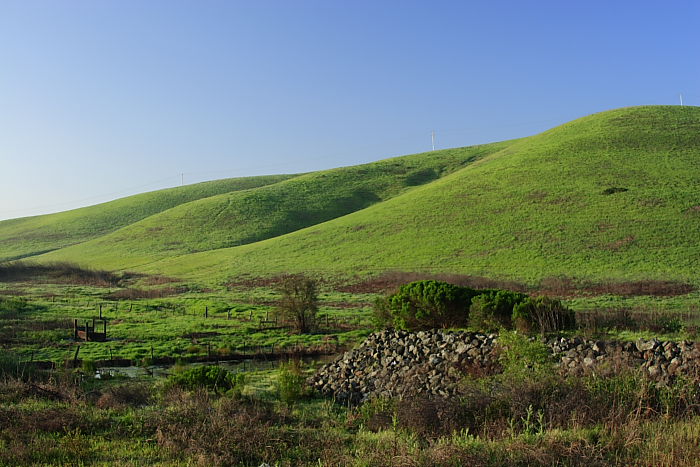 Topography*